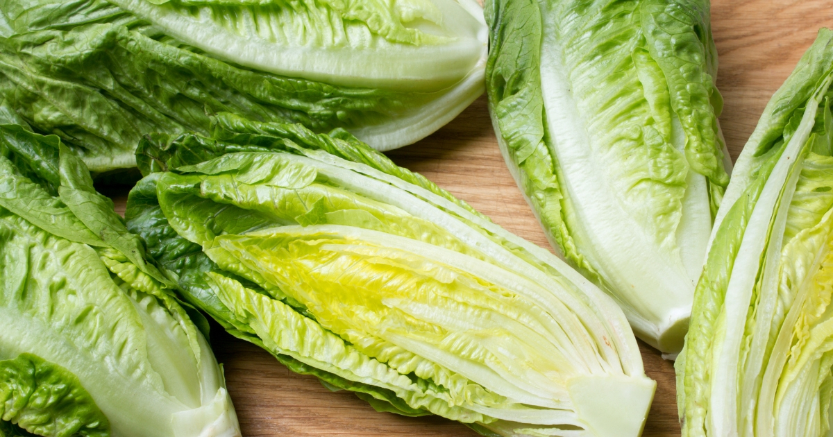 Feds Issue Unprecedented Alert: Throw Out All Romaine Lettuce