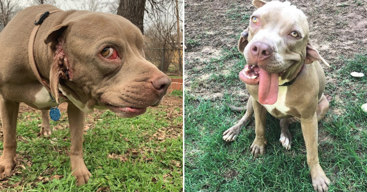 Woman Starts Rescue for Special Needs Animals After Adopting Dog Born ...