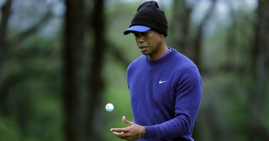 tiger woods beanie