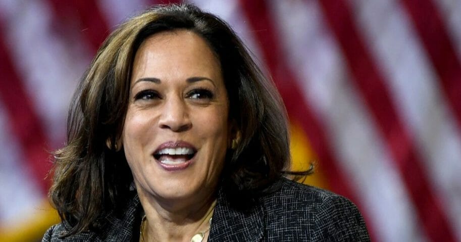 Kamala Harris Admits Plan To Confiscate 10 Million Guns and That's Just ...