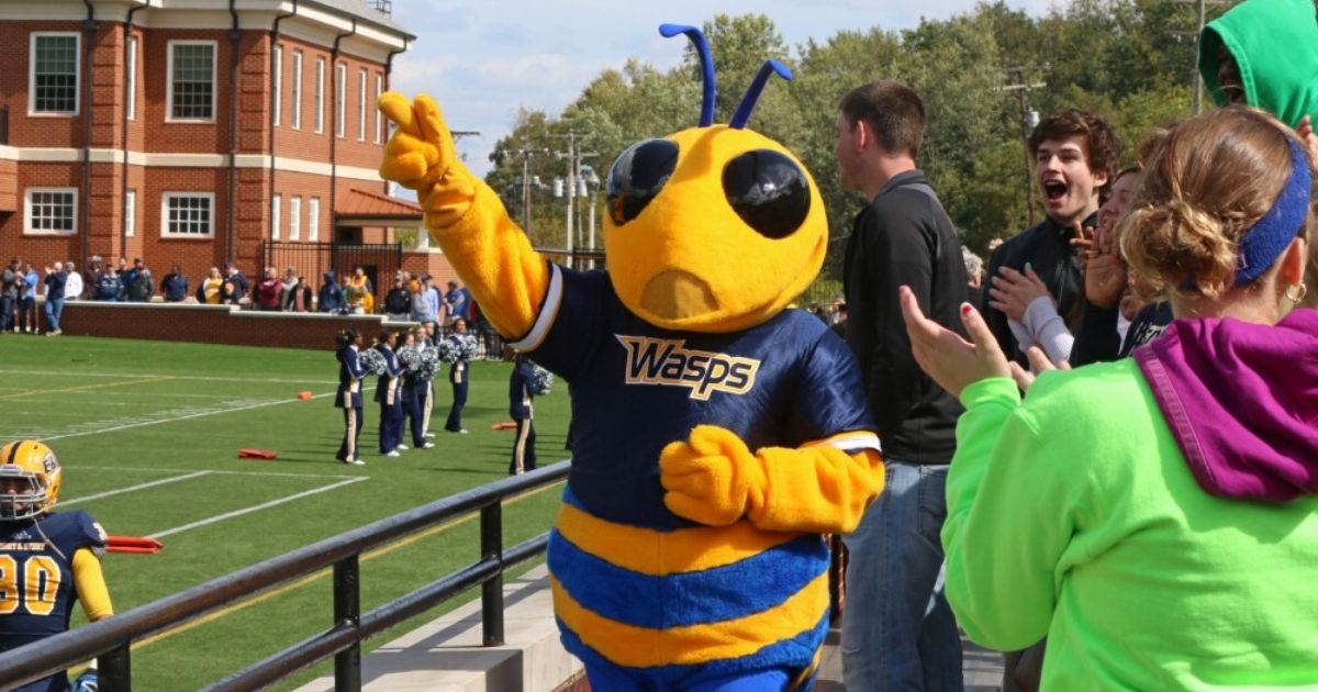 Jellyfish.NEWS - Virginia College May Change Mascot Because 'Wasps' Isn ...