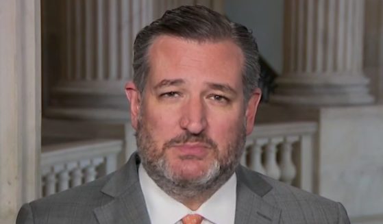 Republican Sen. Ted Cruz of Texas appears on Fox News' "America Reports" on Wednesday.