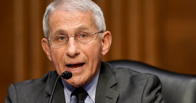 Dr. Anthony Fauci, director of the National Institute of Allergy and Infectious Diseases, appears before a Senate Committee hearing on May 11.