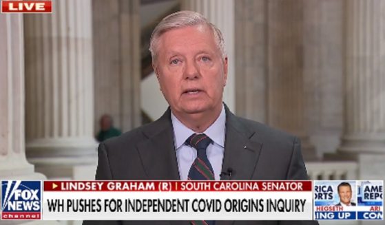 Sen. Lindsey Graham appears on Fox News on Wednesday.