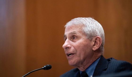 Dr. Anthony Fauci, director of the National Institute of Allergy and Infectious Diseases, speaks during a Senate Appropriations Labor, Health and Human Services Subcommittee hearing looking into the budget estimates for National Institute of Health and state of medical research on Capitol Hill, May 26 in Washington, D.C.