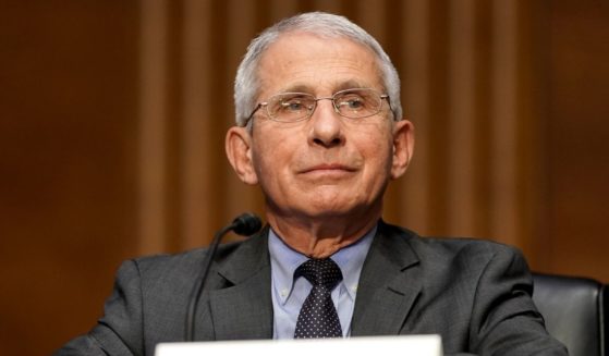 Dr. Anthony Fauci, director of the National Institute of Allergy and Infectious Diseases, is pictured during a May 11 Senate committee hearing.