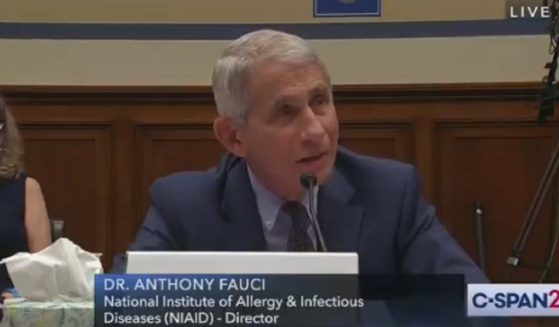 Dr. Anthony Fauci, director of the National Institute for Allergy and Infectious Diseases, appears before a congressional hearing in July.