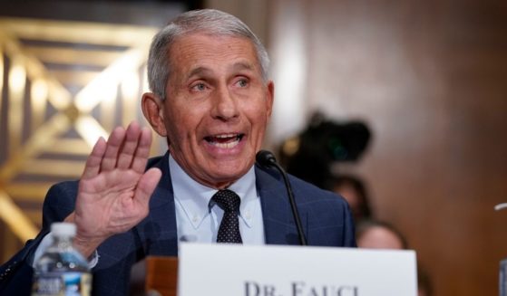 Top infectious disease expert Dr. Anthony Fauci testifies before the Senate Health, Education, Labor, and Pensions Committee on Tuesday on Capitol Hill in Washington, D.C.