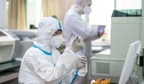 The above stock photo shows two scientists working in a lab.