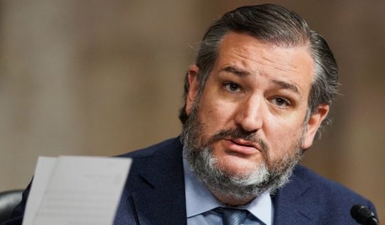 Texas Republican Sen. Ted Cruz speaks during a Senate Homeland Security and Governmental Affairs & Senate Rules and Administration joint hearing on March 3 in Washington.