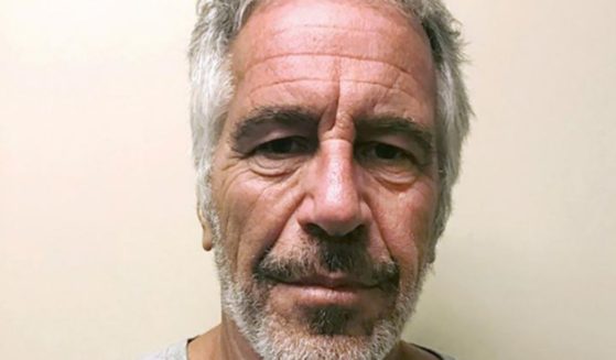 Jeffrey Epstein is seen in a New York State Sex Offender Registry photo taken on March 28, 2017.