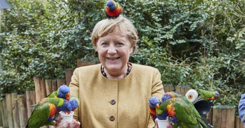 German Chancellor Angela Merkel is seen holding Australian lorikeets at Marlow Bird Park in Marlow, Germany, on Thursday.