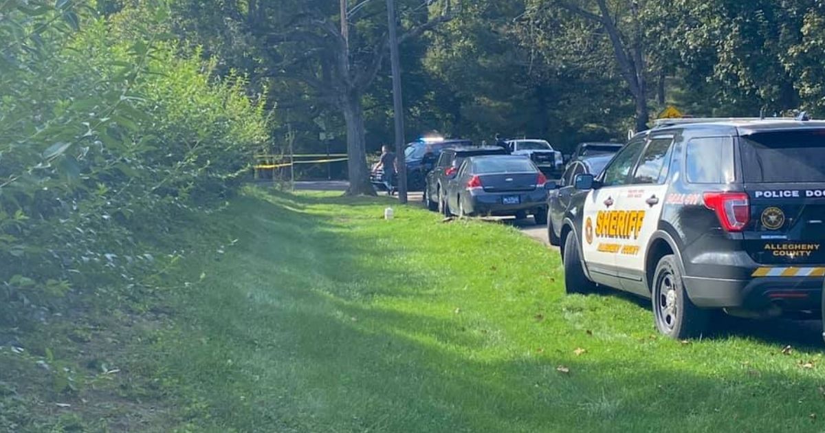 The crime scene where Louis Vignone, 58, was shot and killed on Thursday in Collier Township, Pennsylvania, is seen in the above image.