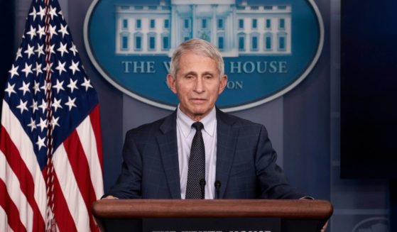 Dr. Anthony Fauci, director of the National Institute of Allergy and Infectious Diseases, speaks during the daily media briefing at the White House on Wednesday in Washington, D.C.