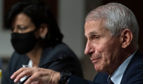 Dr. Anthony Fauci is seen speaking at a Senate committee hearing on Capitol Hill, Nov. 4 in Washington. Fauci told CNN that a Fox News personality should be fired for statements he recently made about him.