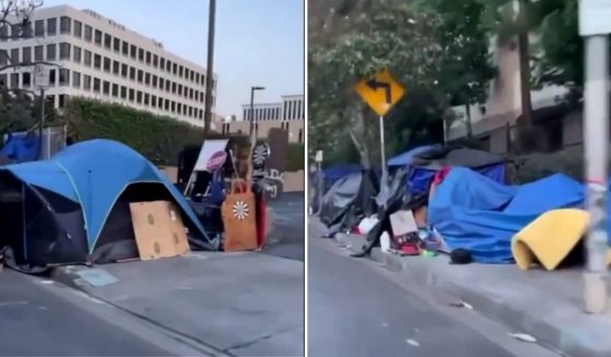 A resident shared a video of homeless encampments lining the streets of Los Angeles' Koreatown in a November Twitter post, refuting the claim that the Democrat-dominated state, county and local government are doing anything to help the situation.