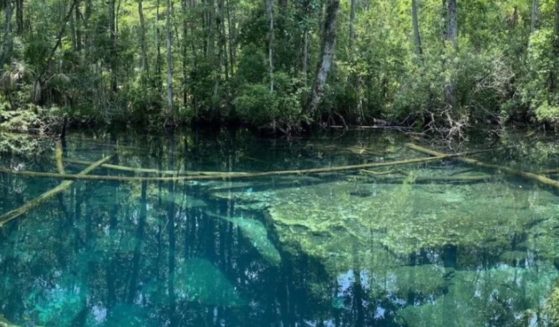 Three teens in Florida found a body of a deceased diver on June 22.