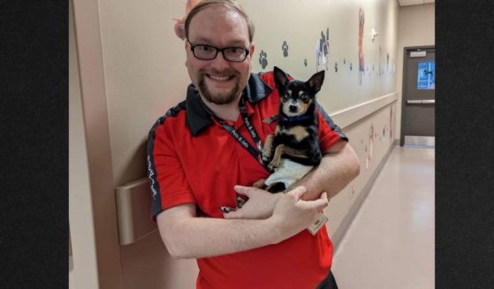 A Southwest Airlines flight attendant volunteered his time and flight benefits to transport the elderly Chihuahua to his new family in Maryland.