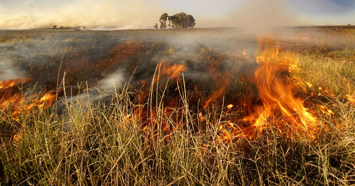 Flames in a field.