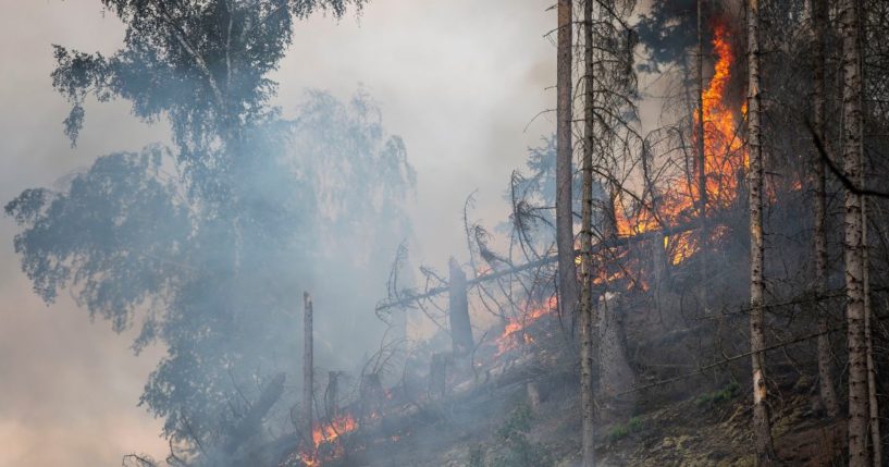 The above image is of a wildfire in Hrensko, Czech Republic, from Wednesday.