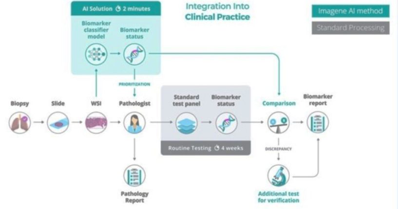 Graphic courtesy of Imagene