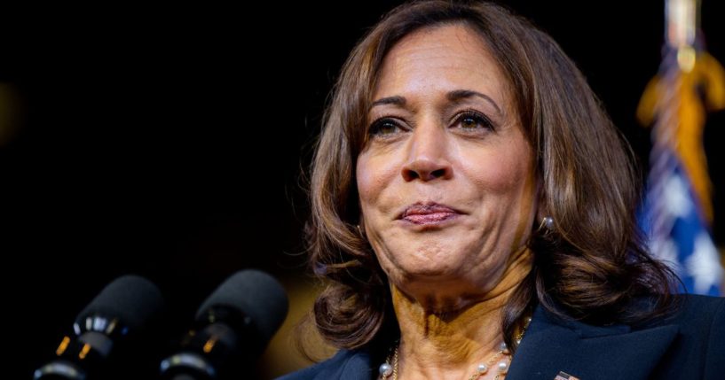 Kamala Harris Gets Rude Awakening as 100 Illegal Immigrants Show Up at ...