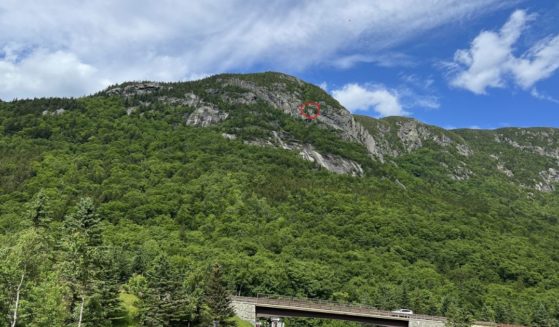 Two hikers were rescued in New Hampshire in June after forging their own path and getting stranded on a cliffside.