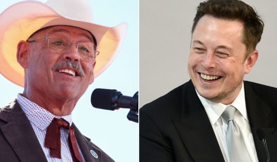 Arizona Secretary of State candidate Mark Finchem put out a pleas to Elon Musk, who quickly responded.