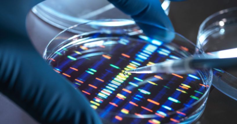 A scientist is shown pipetting a sample into a tray for DNA testing in a laboratory in this stock photo.