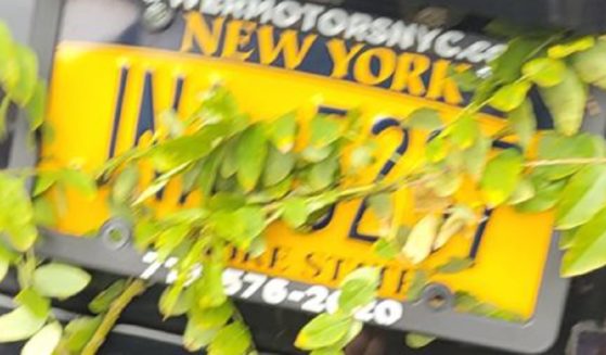 A license plate obscured by leaves.