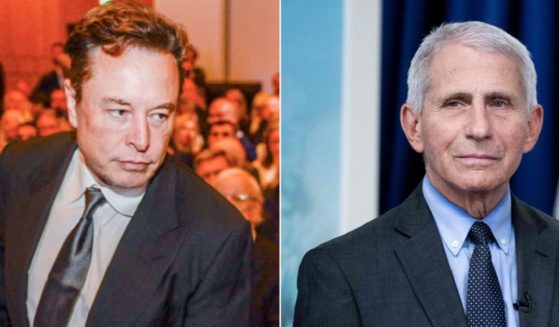 Twitter owner Elon Musk, left; National Institute for Allergy and Infectious Diseases Director Dr. Anthony Fauci, right.