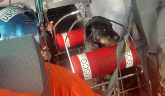 A dog and man were rescued after experiencing problems of the coast of Vancouver Island, British Columbia.