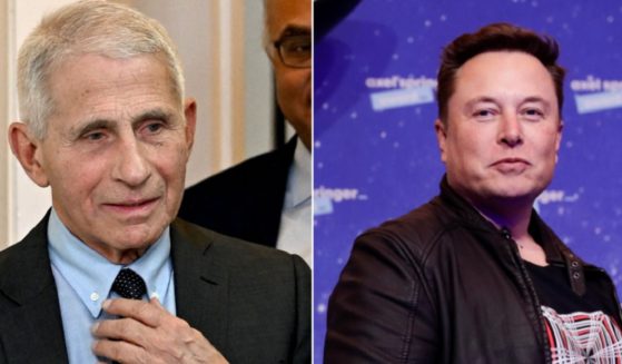 Dr. Anthony Fauci, left; Twitter owner Elon Musk, right.