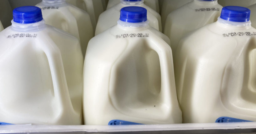 gallons of milk on display in a grocery store