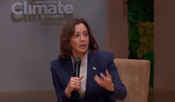 Kamala Harris commented on what she termed "climate mental health" at a conference Wednesday.