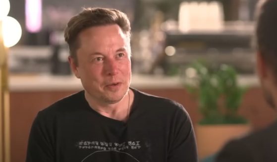 Twitter owner Elon Musk talks to BBC tech reporter James Clayton.