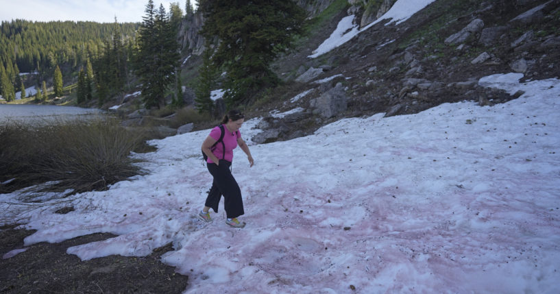 Jana Brough walks across pink-hued snow at Tony Grove Lake on Wednesday, near Logan, Utah. The snow's color has piqued the curiosity of hikers and campers throughout Utah this summer.