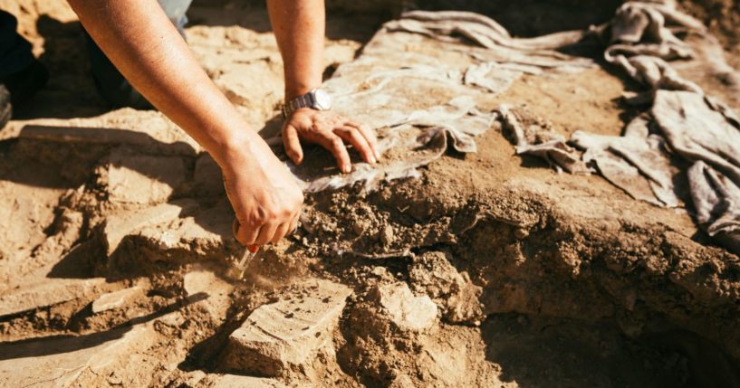 An archaeological excavation site like this was the scene of a brow-raising discovery that could one day make the history books.