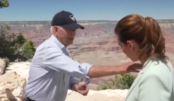 President Joe Biden brushes a bug off of a reporter on Tuesday at the Grand Canyon.