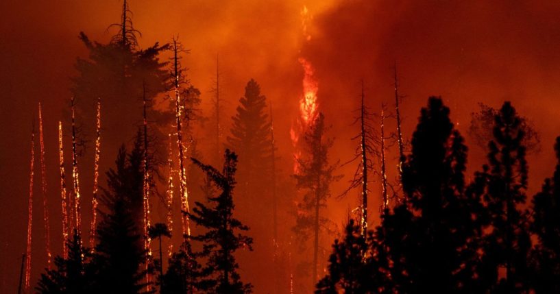 A forest is incinerated by the Oak Fire near Midpines, northeast of Mariposa, California, on July 23, 2022. The California wildfire ripped through thousands of acres after being sparked a day earlier, as millions of Americans sweltered through scorching heat with already record-setting temperatures.