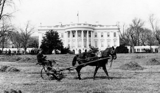 This is an undated view of the White House building in Washington, circa 19th century.