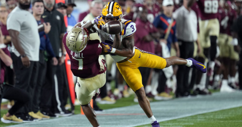 LSU safety Greg Brooks Jr.