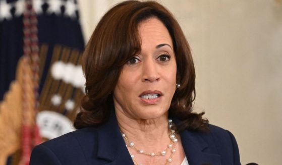 Vice President Kamala Harris speaks about lowering healthcare costs, in the East Room of the White House in Washington, D.C., on Tuesday.