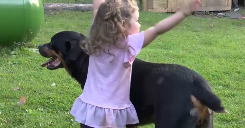 Thea Chase and Buddy the Rottweiler