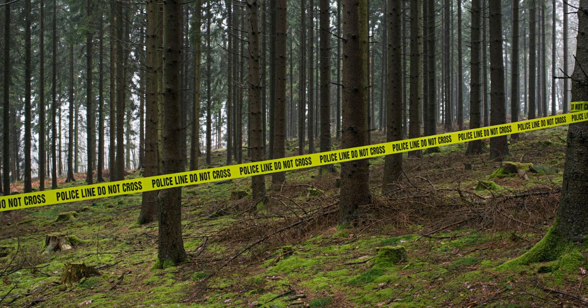 This stock image shows police tape up in a forest.