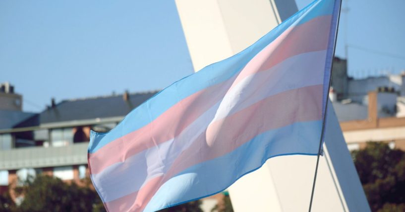 The above stock image is of a transgender flag.