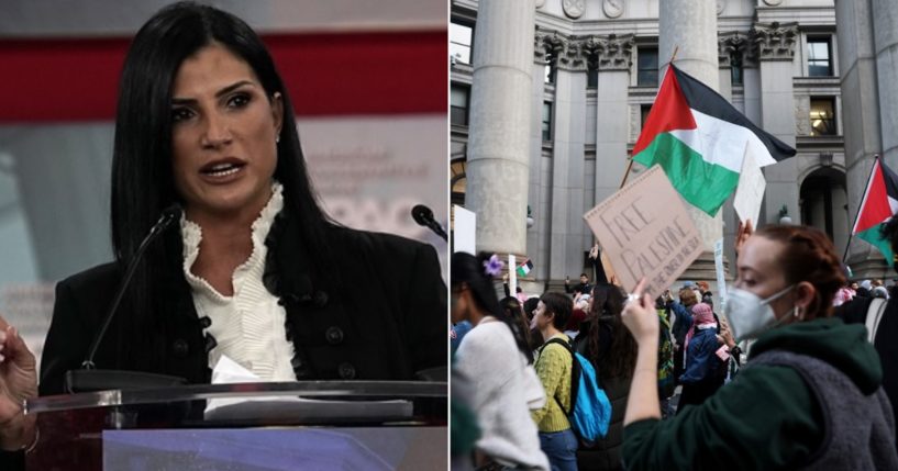 Conservative author and talk show host Dana Loesch, pictured in a 2018 file photo, used a one-word social media post to destroy supporters of Palestinans like those who attended a rally on Nov. 7, right.