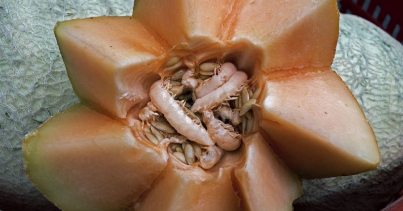 A cut cantaloupe is seen for sale at a local Farmers Market in Annandale, Virginia, on Aug. 8, 2013.