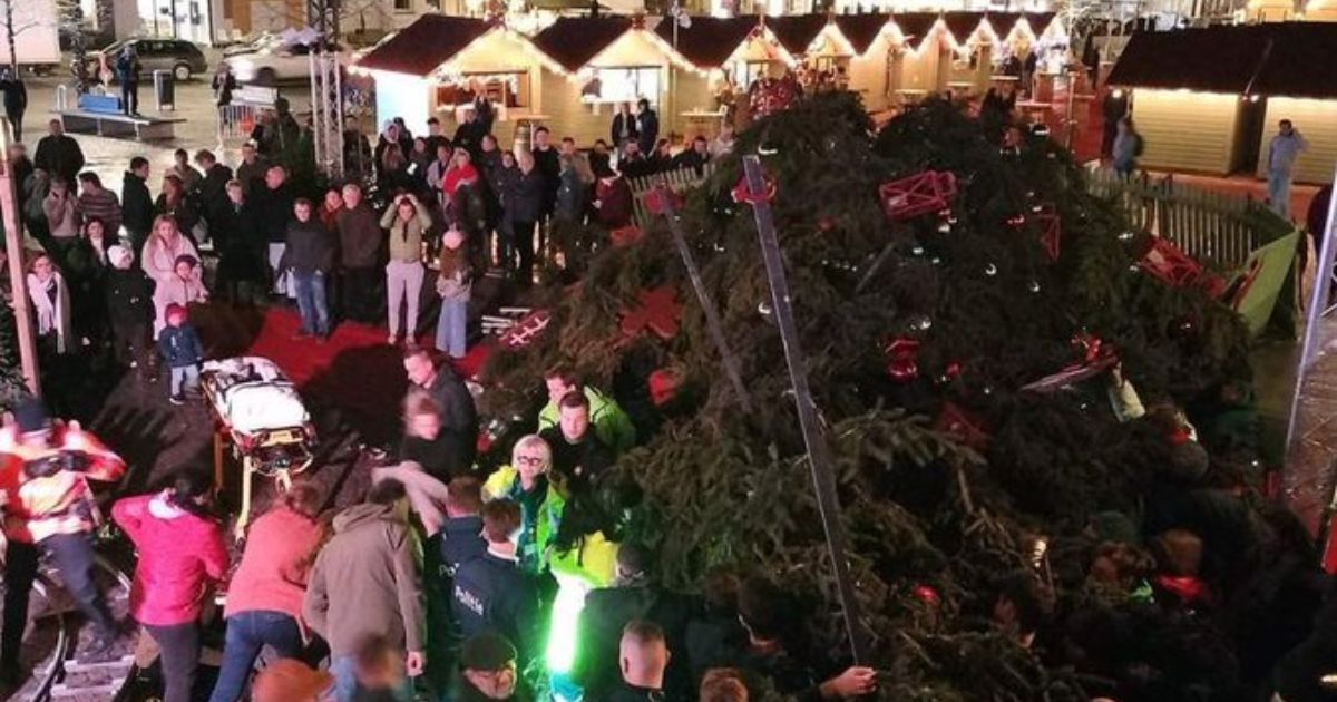 The collapse of a Christmas tree in Belgium killed a 63-year-old woman and injured two other people.
