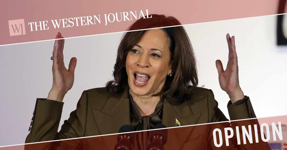 Kamala Harris Boasts 'We'll Beat' Trump Like Last Time - If So Then ...